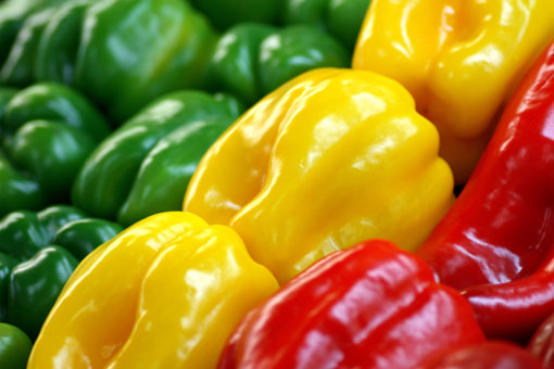 0203 Logistique fruits et légumes